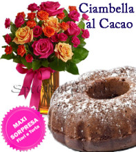ciambella-al-cacao